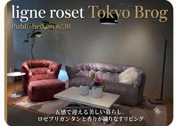 ligne roset | リーン・ロゼ公式サイト